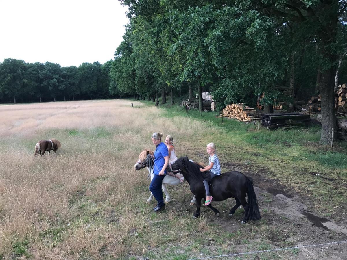 Bed & Breakfast De Zandhoef Eersel Zewnętrze zdjęcie