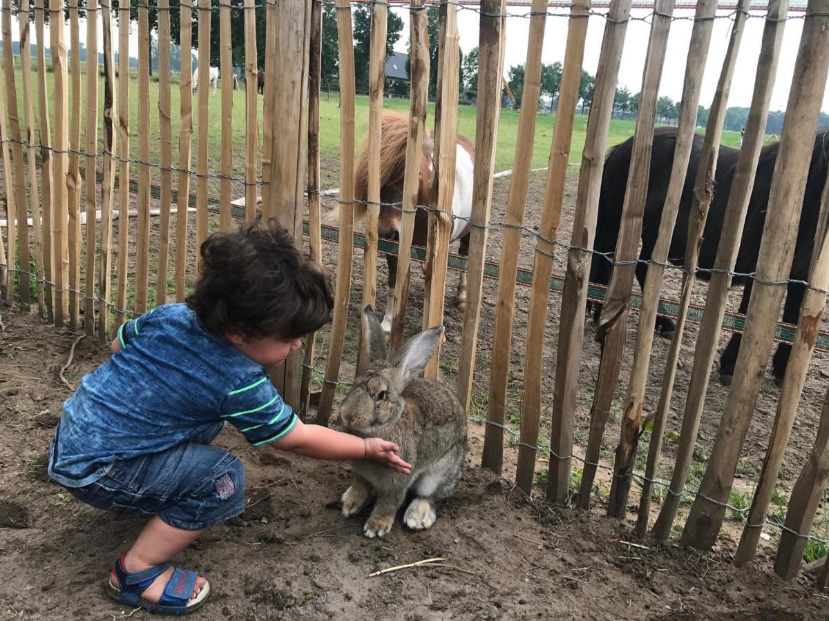 Bed & Breakfast De Zandhoef Eersel Zewnętrze zdjęcie