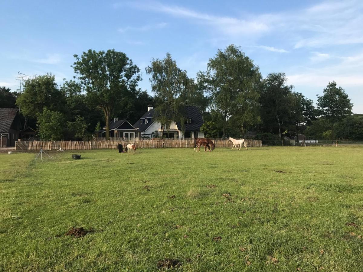 Bed & Breakfast De Zandhoef Eersel Zewnętrze zdjęcie